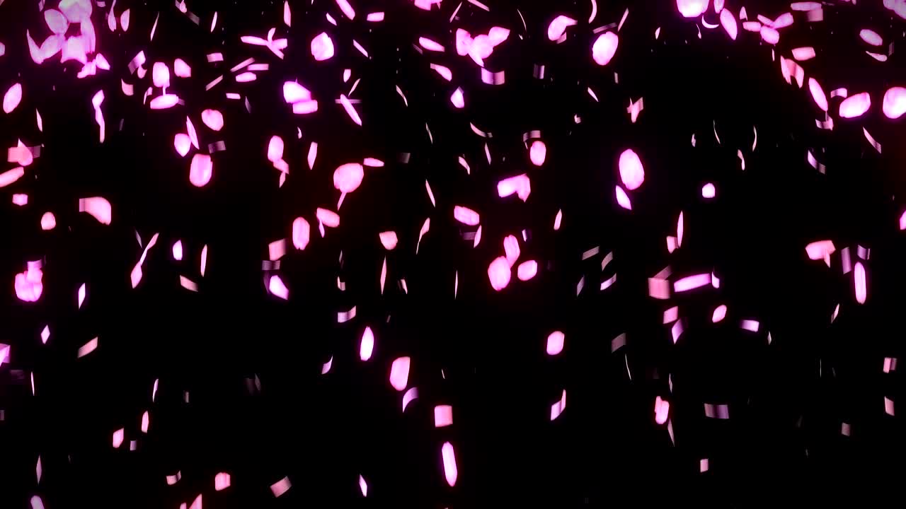 검은 바탕에 떨어지는 체리 꽃 잎, 루프 글리터 애니메이션