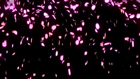 cherry blossom petals falling on black background, loop glitter animation,