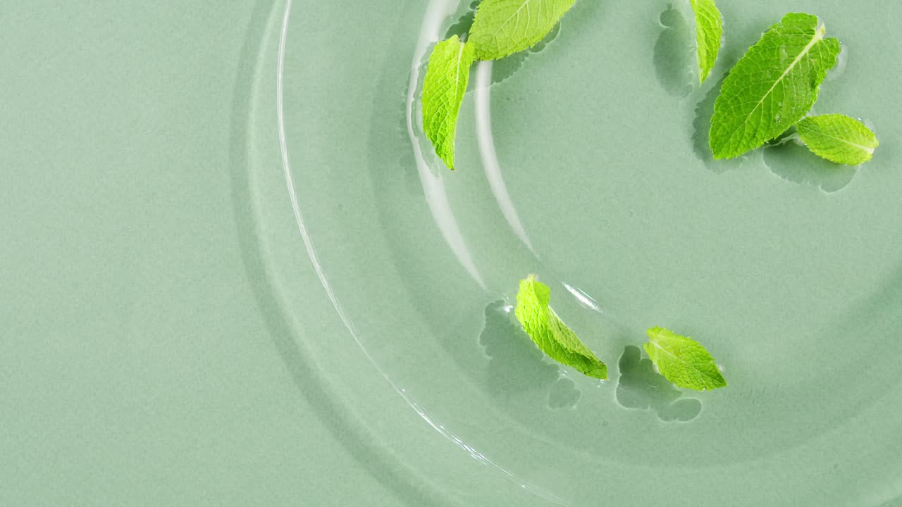 Mint leaves in water on green background. Freshness.