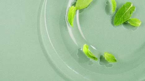 mint leaves in water on green background. freshness.