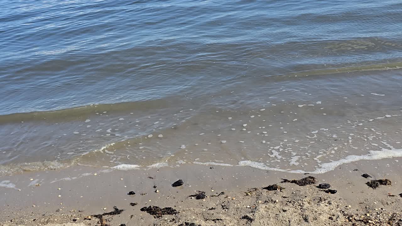 Seaside vacation: Low perspective of waves on flat sandy beach with shells