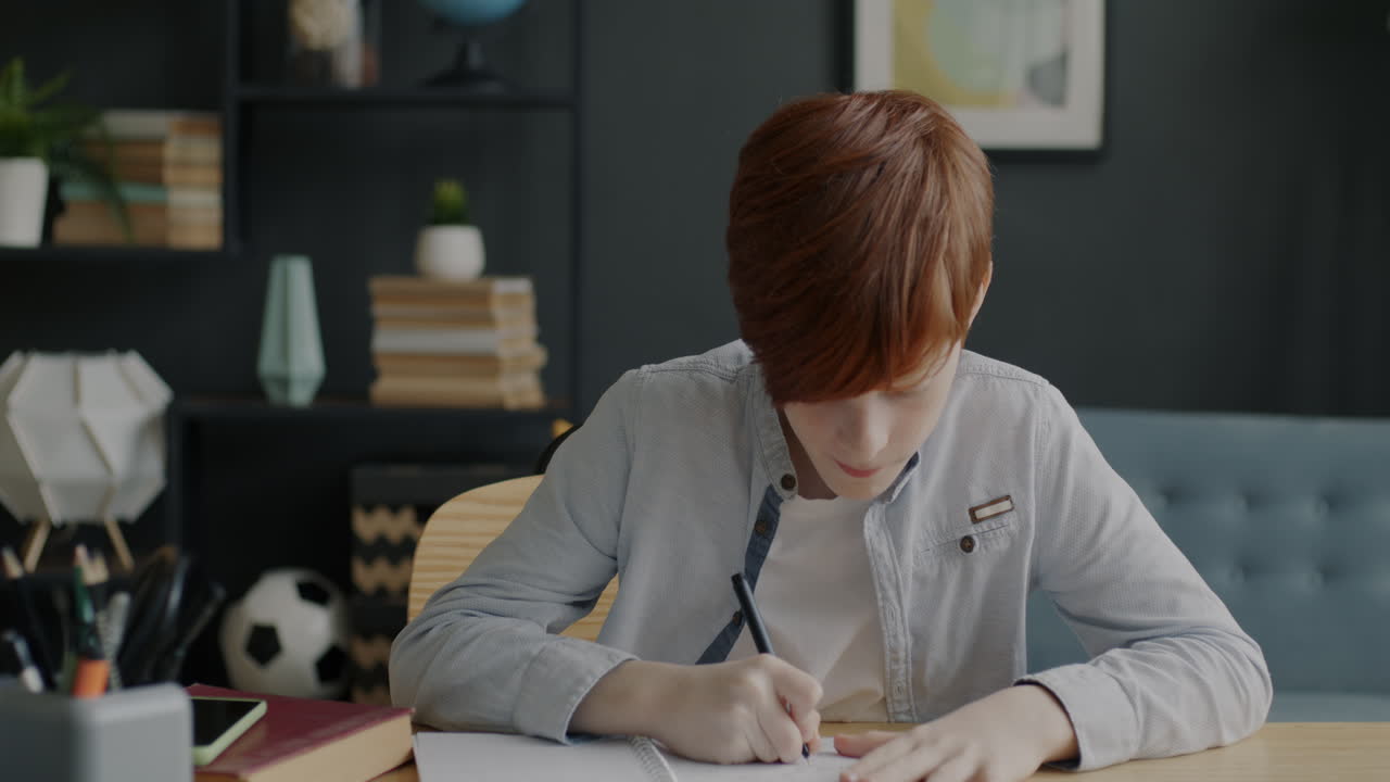 niño estudiando en casa