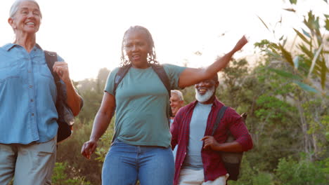 grupo multicultural de amigos mayores disfrutando de una caminata por el campo juntos