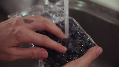 mujer lava arándanos bajo el agua del grifo