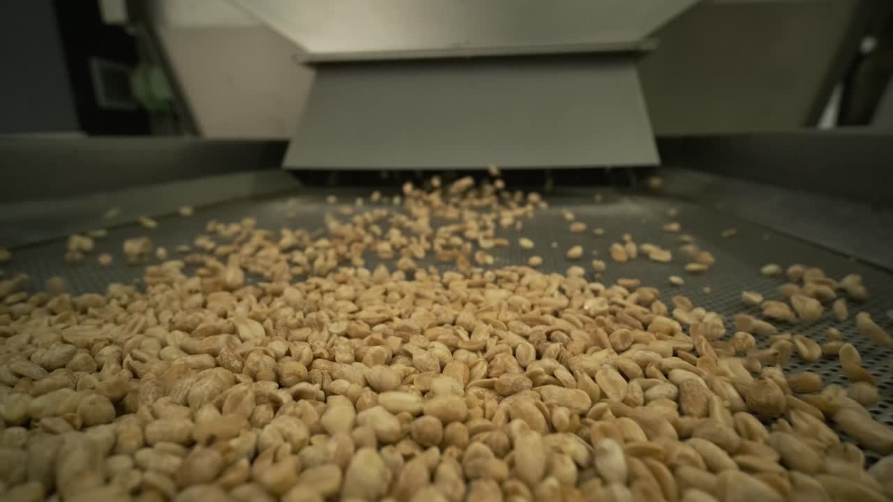 tostar cacahuetes. operaciones de clasificación en la fábrica de nueces. línea de producción de embalaje de cacahuetes tostados.