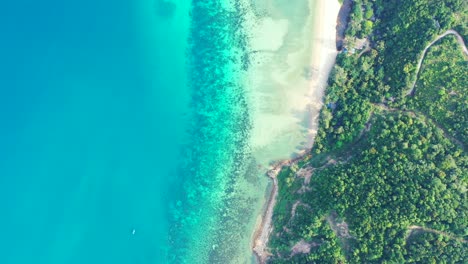 tropical island beach background