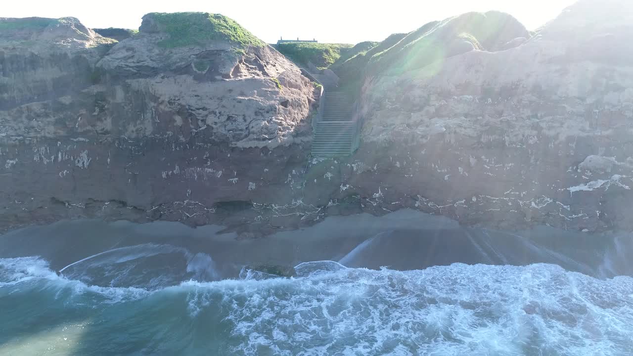 다시 마르델플라타 도시의 비둘기