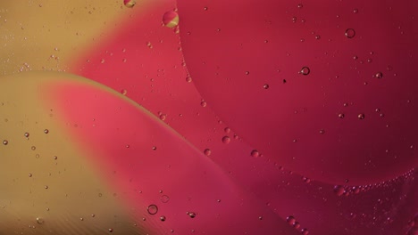 la macroestructura de las burbujas de aceite coloridas. movimiento caótico. fondo multicolor abstracto. patrón