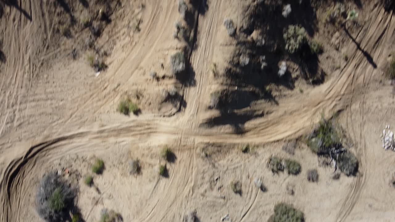사막, 국립 공원, 캘리포니아에 있는 조슈아 그린 나무의 오버헤드 샷