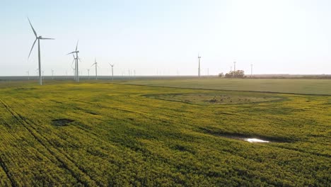 General-view-of-wind-turbines-in-countryside-landscape-with-cloudless-sky