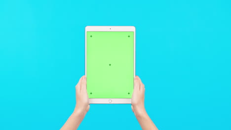 persona, manos y tableta en maqueta con verde