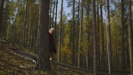 El-Guardabosques-Camina-Por-El-Bosque-En-Otoño-Comprobando-El-Distrito-Forestal.-Un-Hombre-De-Mediana-Edad-Con-Mochila-Camina-Solo.