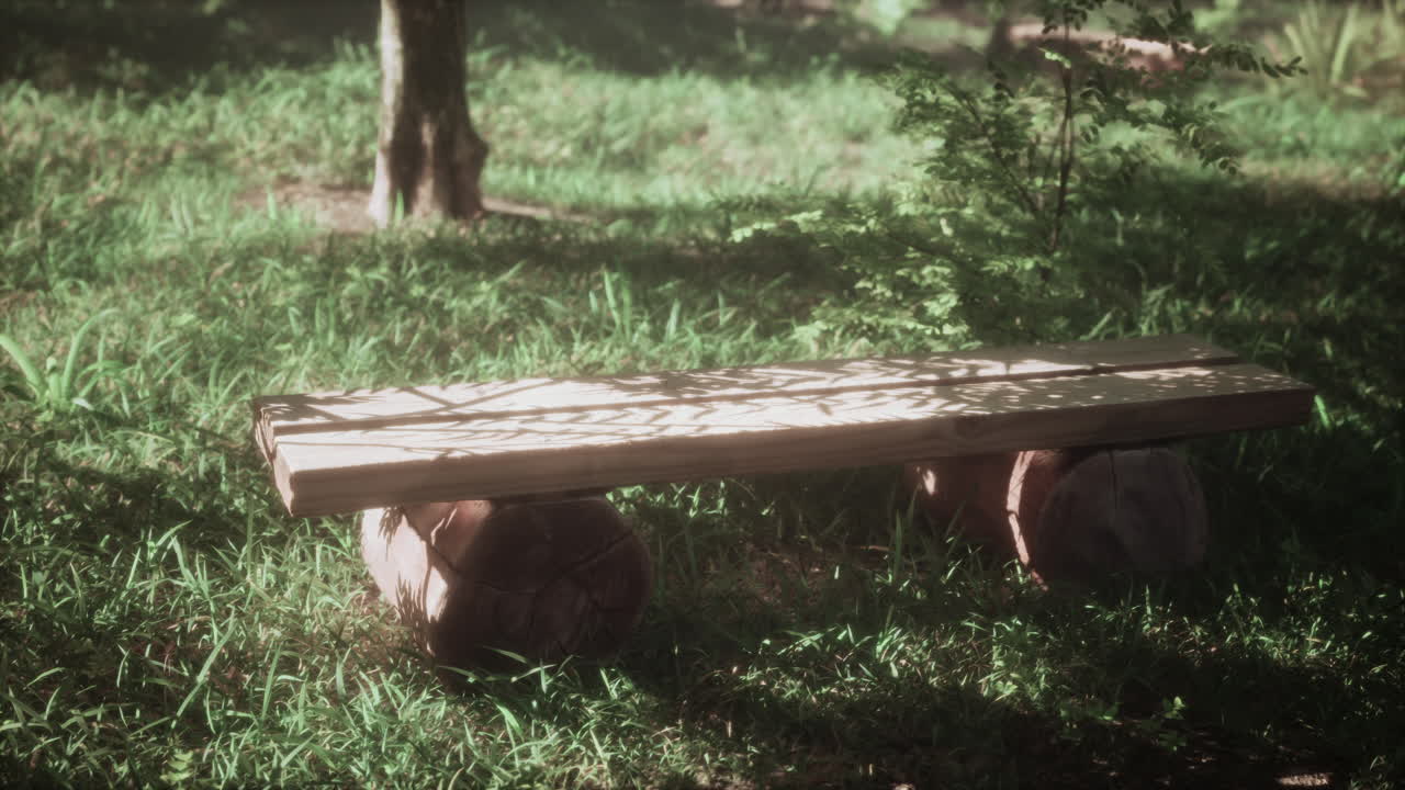 이 많은 정원에서 나무 벤치