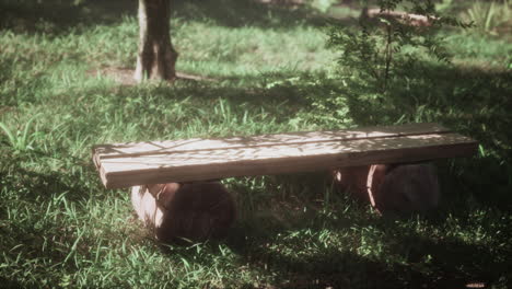 wooden bench in a sunny garden