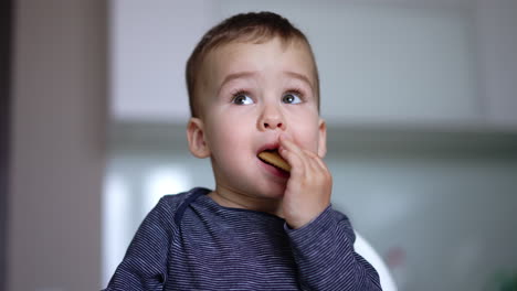 lovely cute kid eating a cookie. child chewing the biscuit carefully looking up. close up.