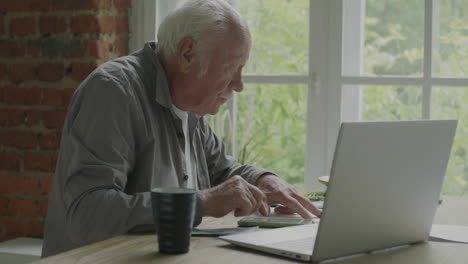 senior man working on laptop at home