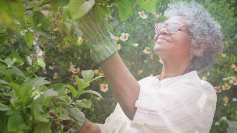 Animation-of-glowing-lights-over-senior-woman-gardening-in-background