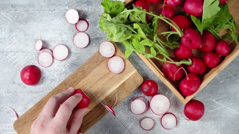 male hands slicing fresh radishes on a cutting board.