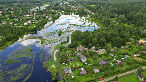 rural village near forest swamps. aerial drone shot
