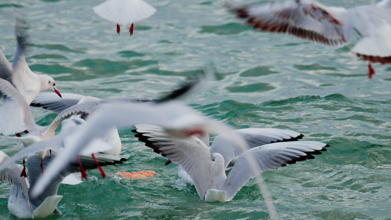 A glowing red sun partially covered by dark clouds at dusk