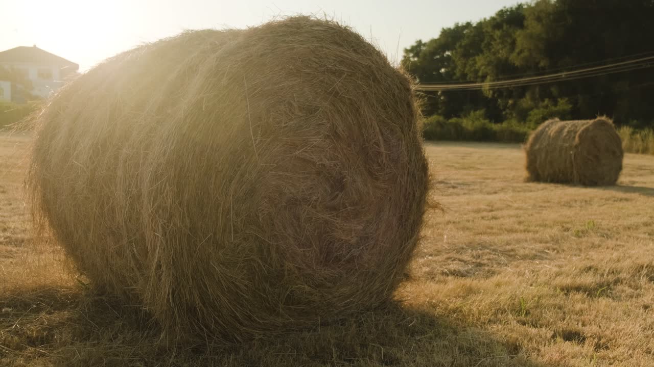 tiro estático de pilas de rollos de paja, rayos de sol brillantes que iluminan los montones de heno rurales en el campo agrícola