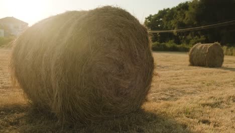 static shot of straw roll stacks, bright sun rays illuminating rural haystacks on agricultural field