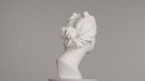 muted white bust sculpture