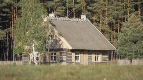 acogedora casa de madera en la naturaleza techo de paja paisaje estático