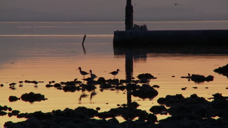 Dämmerung-Am-Saltonmeer