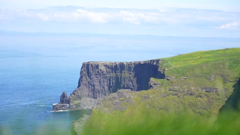 Establishing-handheld-shot-with-blurred-vegetation-of-Cliffs-of-Moher,-Ireland