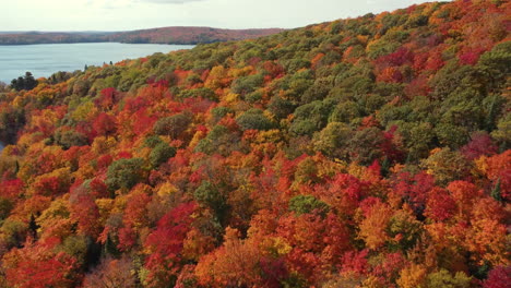 provincial forest with thriving flora at toronto ontario canada