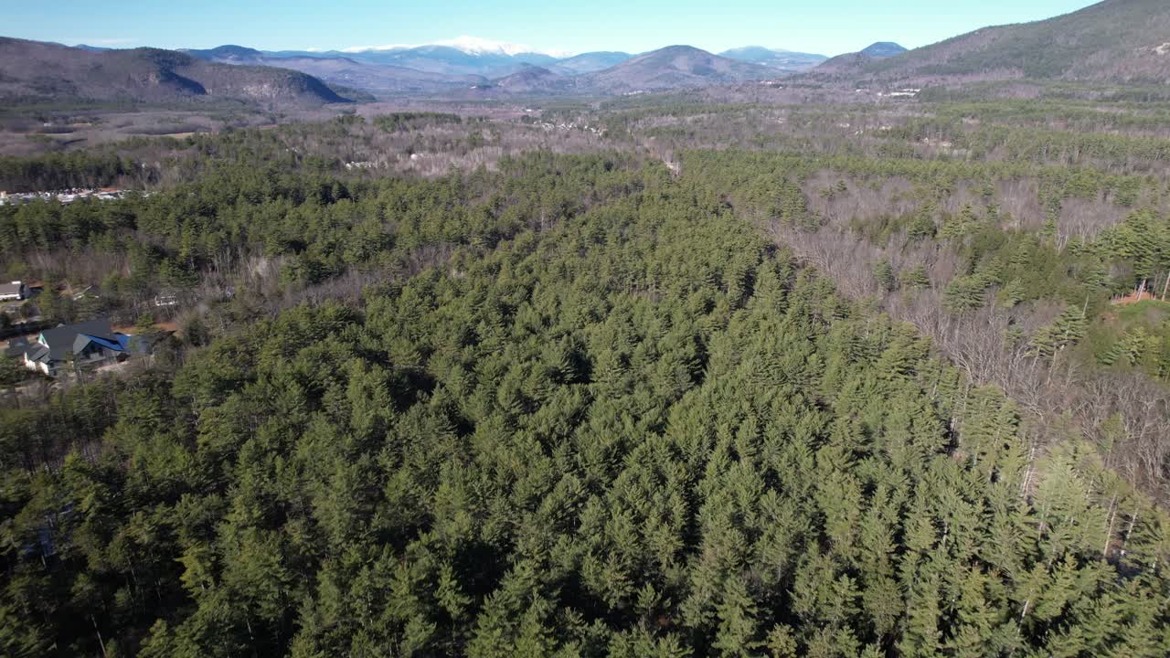 vastos bosques de whitaker, árboles forestales verdes de conway new hampshire y vista aérea de la cordillera hacia el horizonte