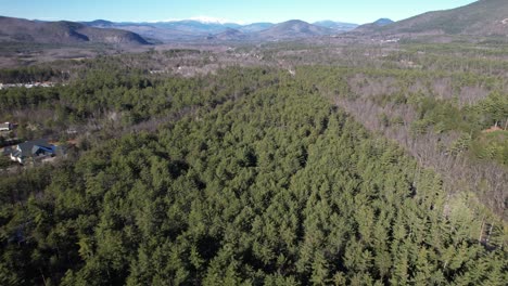 vastos bosques de whitaker, árboles forestales verdes de conway new hampshire y vista aérea de la cordillera hacia el horizonte