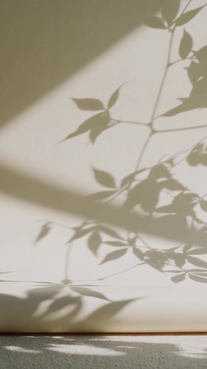 Vertical video: Moving sunlight through window, casting potted plant shadows across pale shade