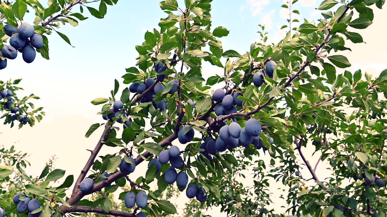 Aerial view of a winding river cutting through farmlands and a small rural village at the base of cliffs