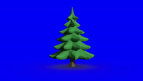 Revolving-fir-tree-on-blue-screen