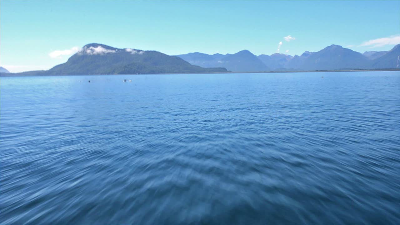 펠리컨이 칠레 남부 근처에서 활을 가로질러 날아가는 것처럼 물을 가로질러 빠르게 움직이는 조디악의 관점