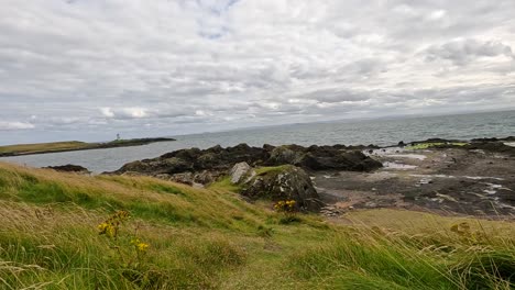 scenic coastal landscape with wildflowers and sea