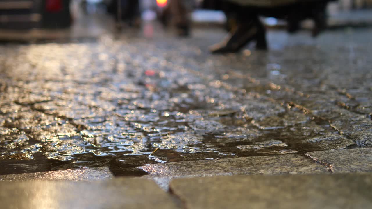 사람들이 고 있는 밤에 은 자갈로 된 거리