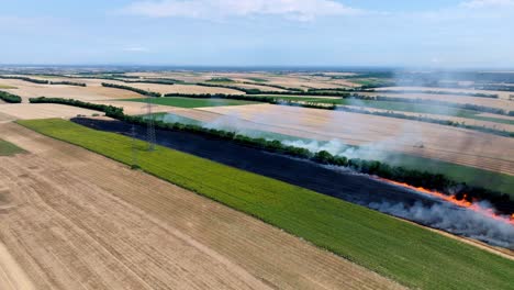 Wildfire-On-A-Grain-Field---aerial-drone-shot