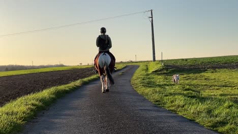 girl riding her pony in the countryside road with her dog