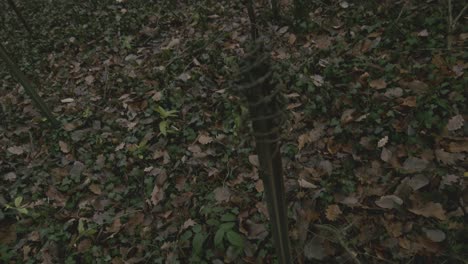 Cloudy-day-in-the-forest-with-metal-sticks-and-iron-fence