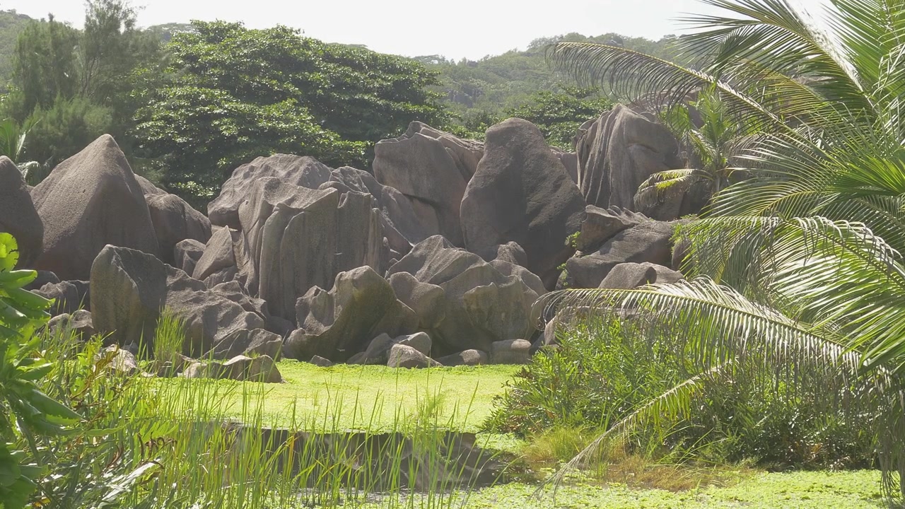 Inquadratura Statica Stabilizzata di Stagno Verde sull'Isola di La Digue, Seychelles, Circondato da Rocce di Granito e Piante Tropicali