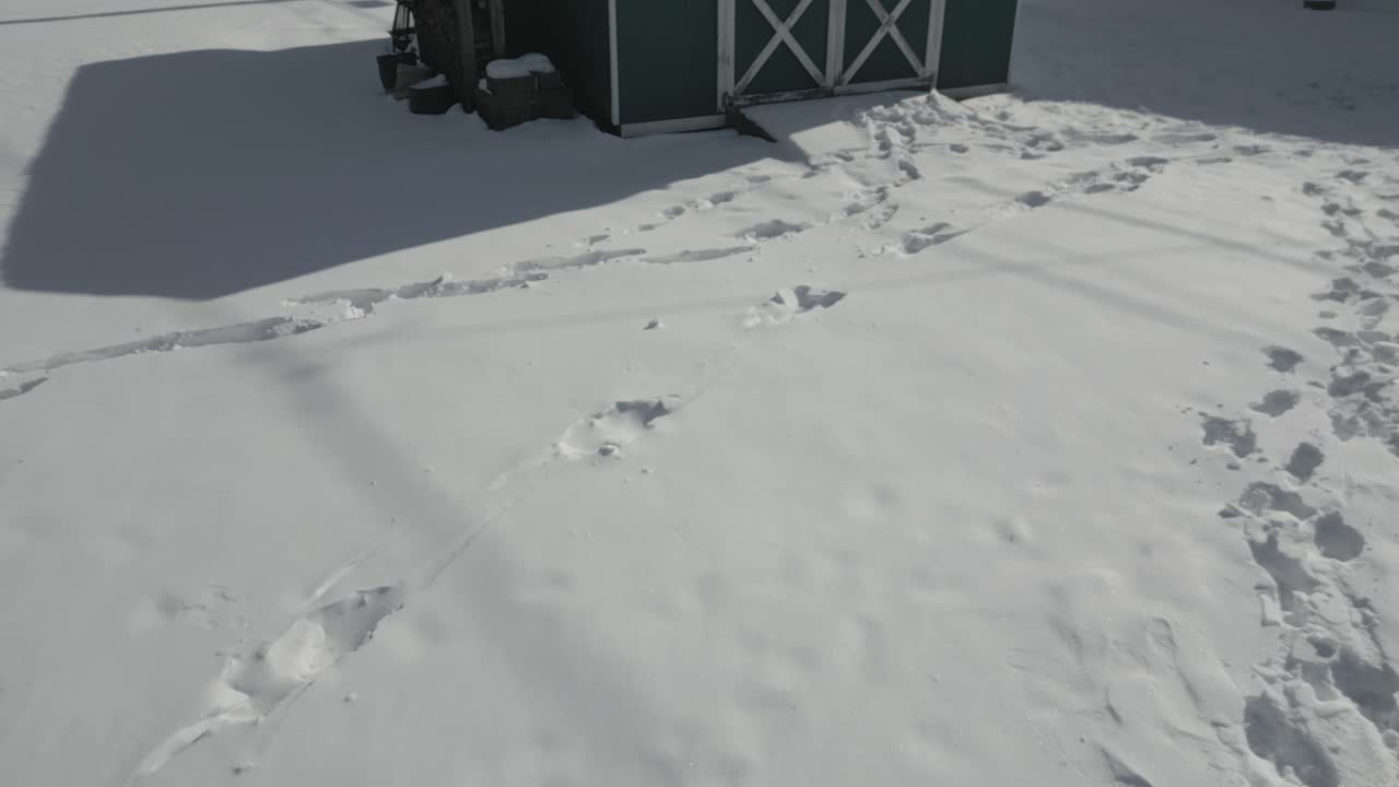 Footsteps in snow of a yard