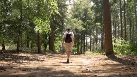 hombre caminando por el bosque