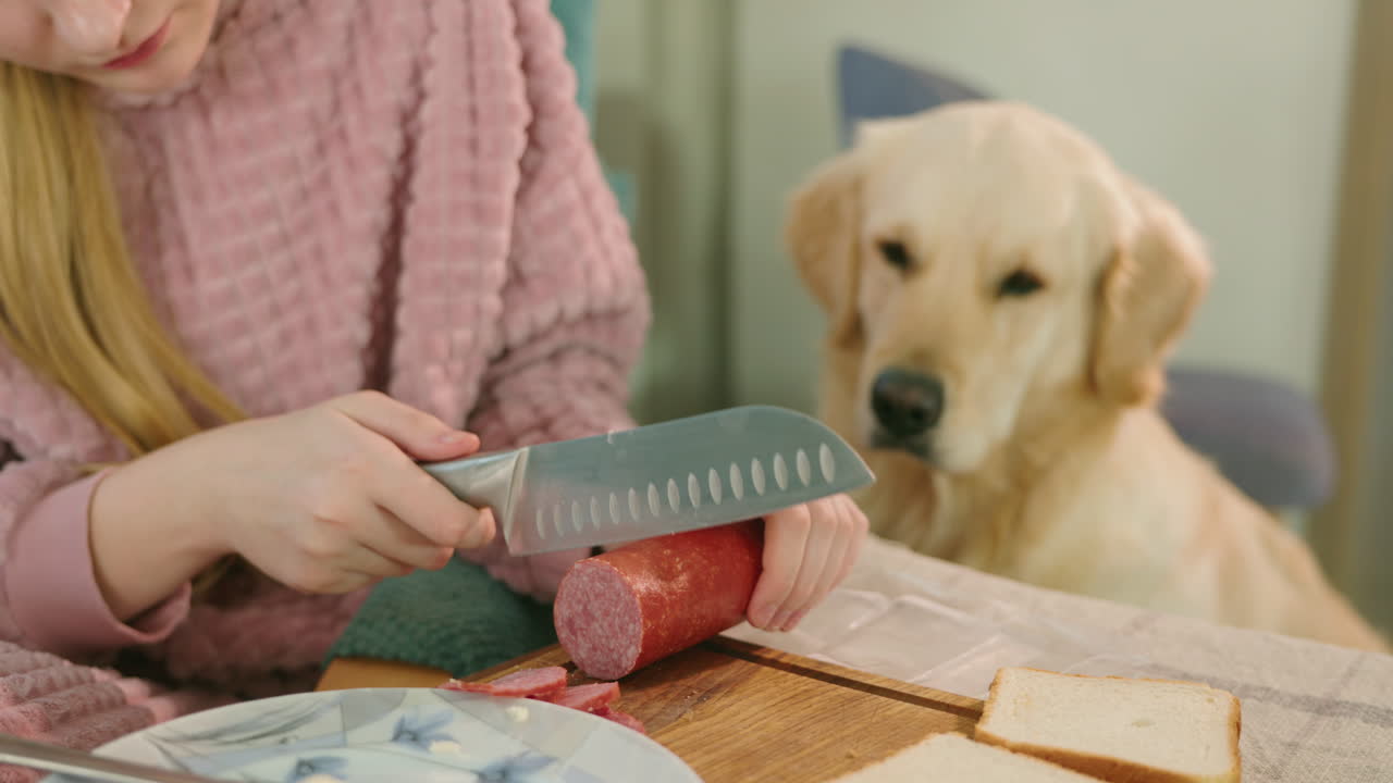 개를 지켜보는 소녀와 함께 소시지를 먹고