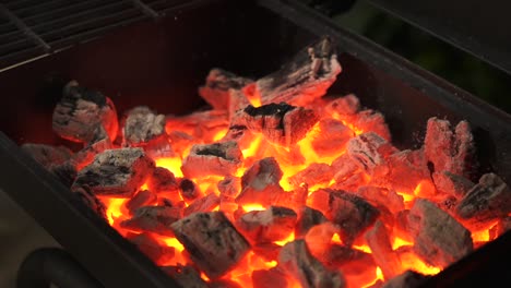 un primer plano de carbón quemando las llamas en una parrilla de barbacoa.