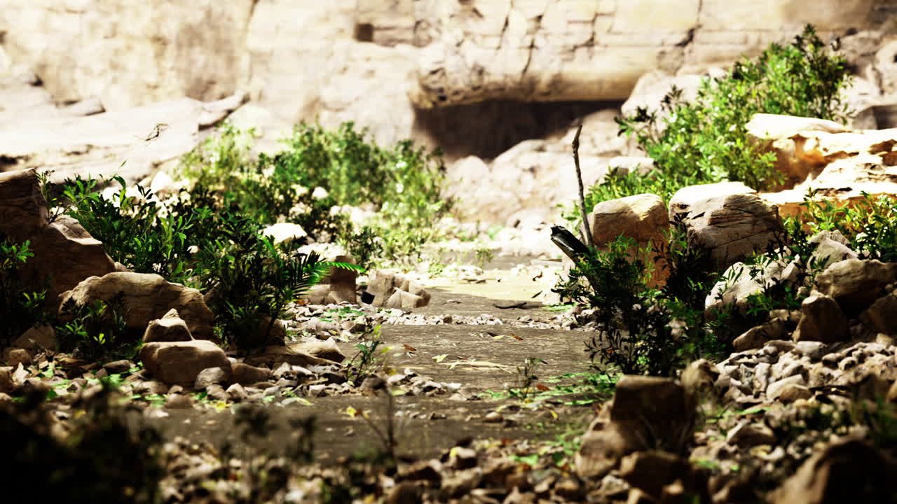 Lush pathway surrounded by rocks and greenery in a natural setting
