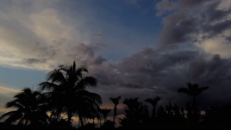 Lapso-De-Tiempo-En-El-Sur-De-Florida-En-La-Parte-Superior-De-Tres-Palmeras,-Nubes-Rodando-Antes-De-La-Puesta-Del-Sol