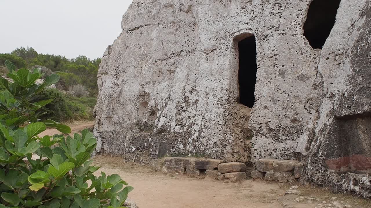 Overgrown plants in the foreground with rocky terrain and distant trees at Cala Morell